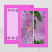 ROSE MALLOW LESEZEICHEN POSTKARTE (Vorne/Hinten)
