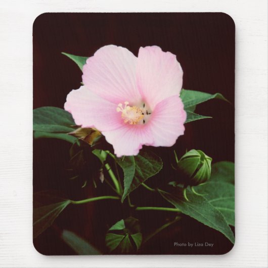 Rose Mallow Mousepad (Vorne)