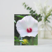 Rose Mallow [Postcard] Postkarte (Stehend Vorderseite)
