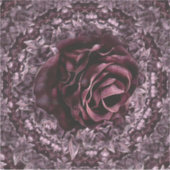 Rose Mandala Aufkleber (Vorderseite)