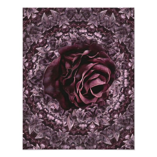Rose Mandala Fotodruck (Vorne)