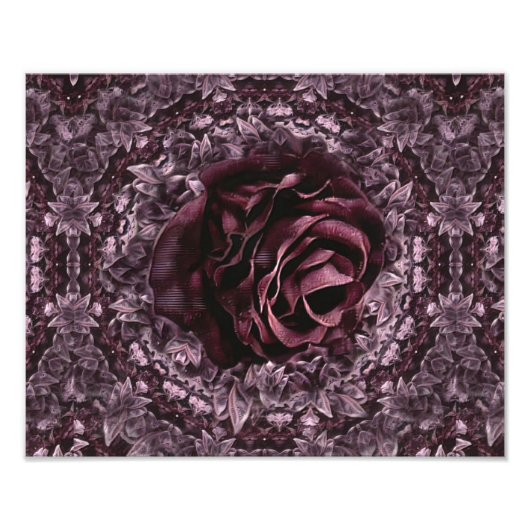 Rose Mandala Fotodruck (Vorne)
