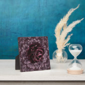 Rose Mandala Fotoplatte (InSitu)