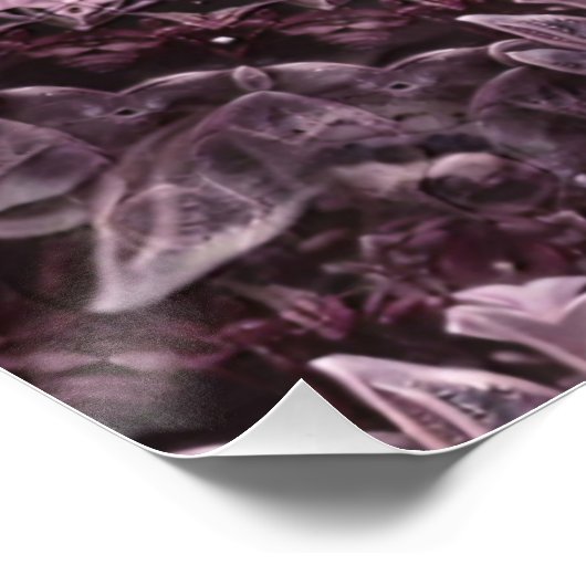 Rose Mandala Poster (Ecke)