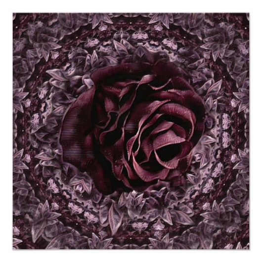 Rose Mandala Poster (Vorderseite)