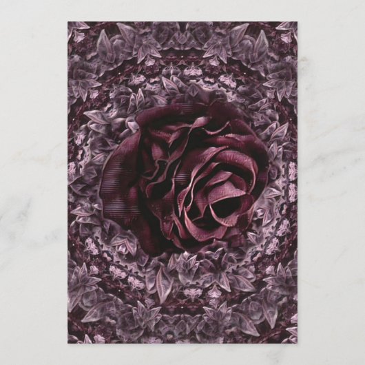 Rose Mandala Programm (Rückseite)