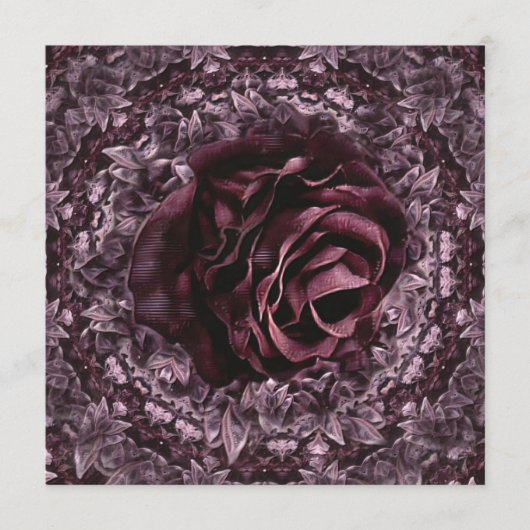 Rose Mandala Programm (Vorderseite)