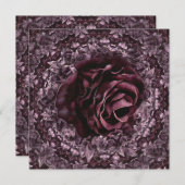 Rose Mandala Programm (Vorne/Hinten)