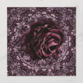 Rose Mandala Programm (Rückseite)