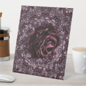 Rose Mandala Sockelschild (In Situ)