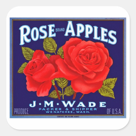 Rose Marken Äpfel Quadratischer Aufkleber (Vorderseite)