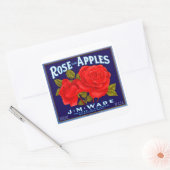 Rose Marken Äpfel Quadratischer Aufkleber (Umschlag)