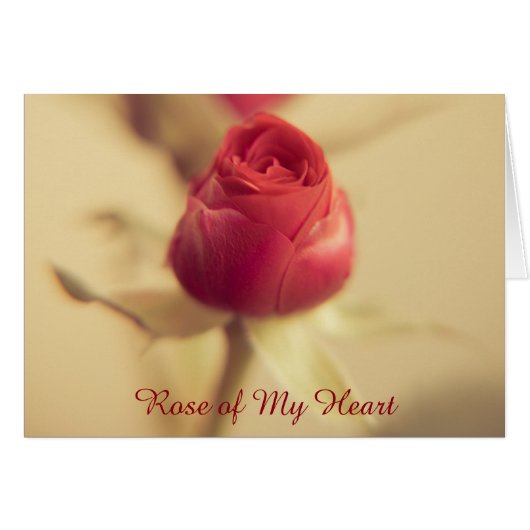 Rose meines Herzens (Vorderseite (Horizontal))