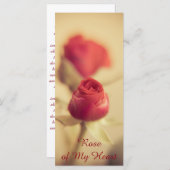 Rose meines Herzens (Vorne/Hinten)