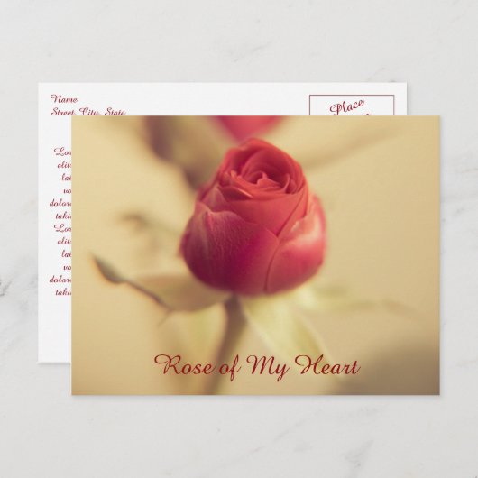 Rose meines Herzens Postkarte (Vorne/Hinten)