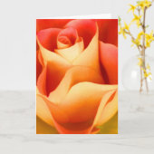 Rose-Merkkarte Peach Karte (Gelbe Blume)