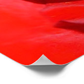 rose mf poster (Ecke)