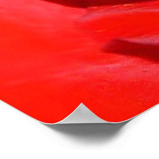 rose mf poster (Ecke)