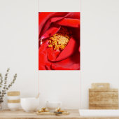 rose mf poster (Küche)