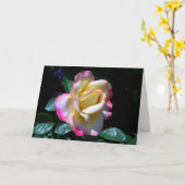 Rose Midsommer Garden Karte (Gelbe Blume)