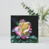 Rose Midsommer Garden Karte (Stehend Vorderseite)