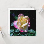 Rose Midsommer Garden Karte (Vorderseite/Rückseite Beispiel)