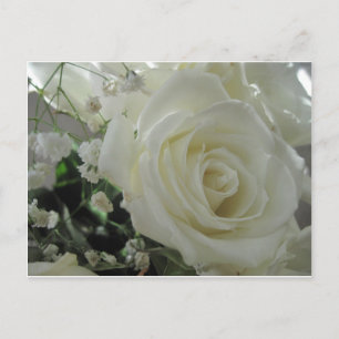 Rose mit Blumen Postkarte