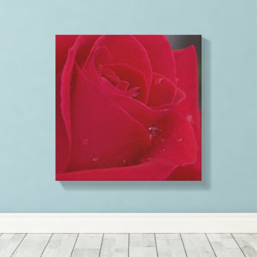 Rose mit Dew Leinwanddruck (Insitu (Holzboden))