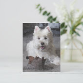 Rose mit einem neuen Spielzeug Postkarte (Stehend Vorderseite)