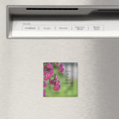 Rose mit Liebe Magnet (In Situ (Geschirrspüler))