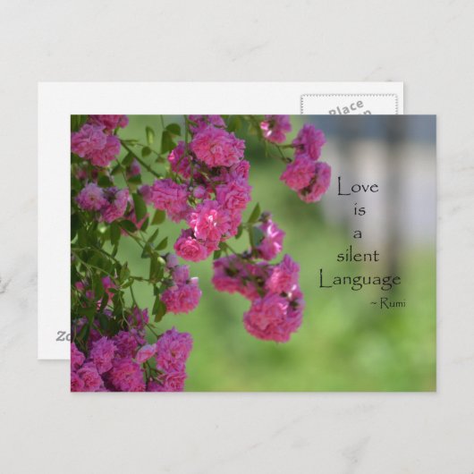 Rose mit Liebe Postkarte (Vorne/Hinten)