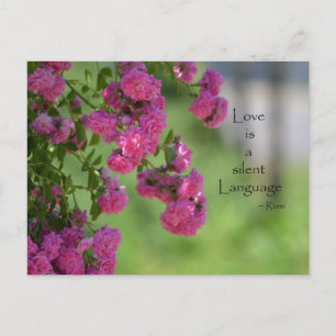 Rose mit Liebe Postkarte
