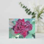 Rose mit Morgendämmerung Postkarte (Stehend Vorderseite)