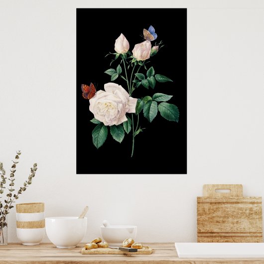 Rose mit schwarzem Schmetterling Poster (Küche)