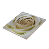 Rose mit Vintager Weißcreme Fliese (Seite)