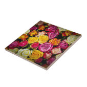 Rose Mix Fliese (Seite)