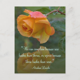 Rose Motivierend Lincoln Zitat Postkarte