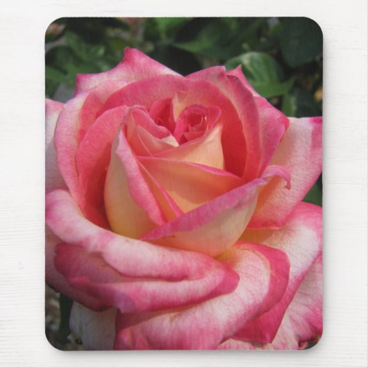 Rose Mousepad (Vorne)