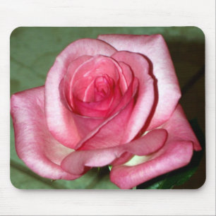 Rose Mousepad