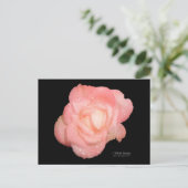 Rose nach dem Regen Postkarte (Stehend Vorderseite)