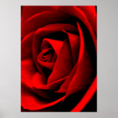Rose Nah Poster (Vorne)