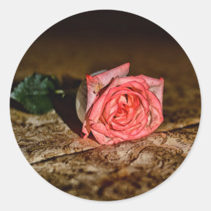 Rose Nah-Up-Aufkleber Runder Aufkleber