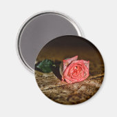 Rose Nah-Up-Magnet Magnet (Vorderseite/Rückseite)