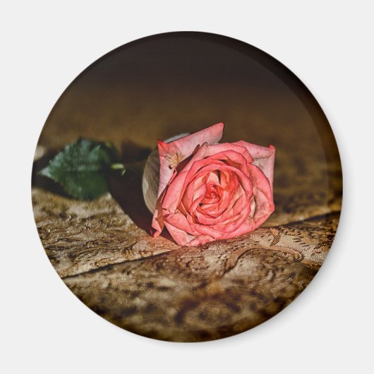 Rose Nah-Up-Magnet Magnet (Vorne)