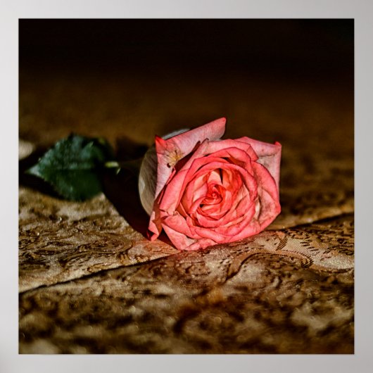 Rose Nah-up-Poster Poster (Vorne)