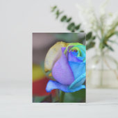 Rose Naturlandschaften Herzlichen Glückwunsch Läch Postkarte (Stehend Vorderseite)