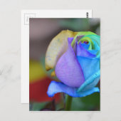 Rose Naturlandschaften Herzlichen Glückwunsch Läch Postkarte (Vorne/Hinten)