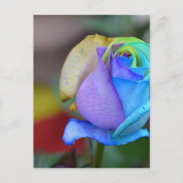 Rose Naturlandschaften Herzlichen Glückwunsch Läch Postkarte