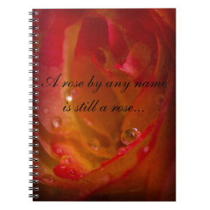 Rose Notebook 1 Notizblock