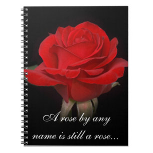 Rose Notebook 2 Notizblock